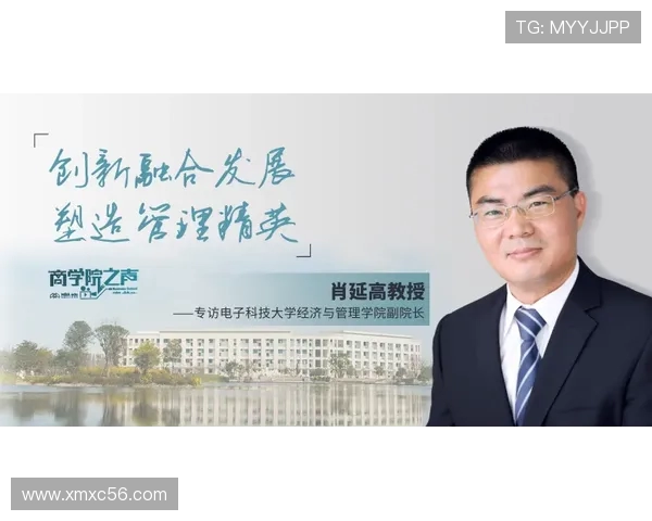 杨秀英专访揭秘和平精英成功背后的策略与创新之路